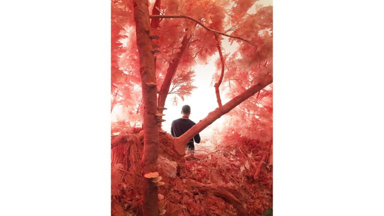 Exploring Dimensions – An Interview with Patrick Jacobs 