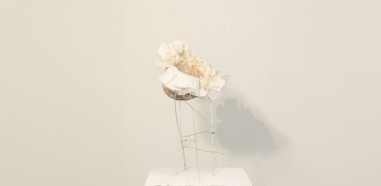 Chenxi Shao Explores Identity, Ecology, And Art Through Organic And Industrial Materials