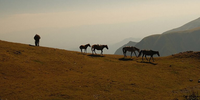 Sarah Carrier Capturing The Essence Of Creativity Through Photography