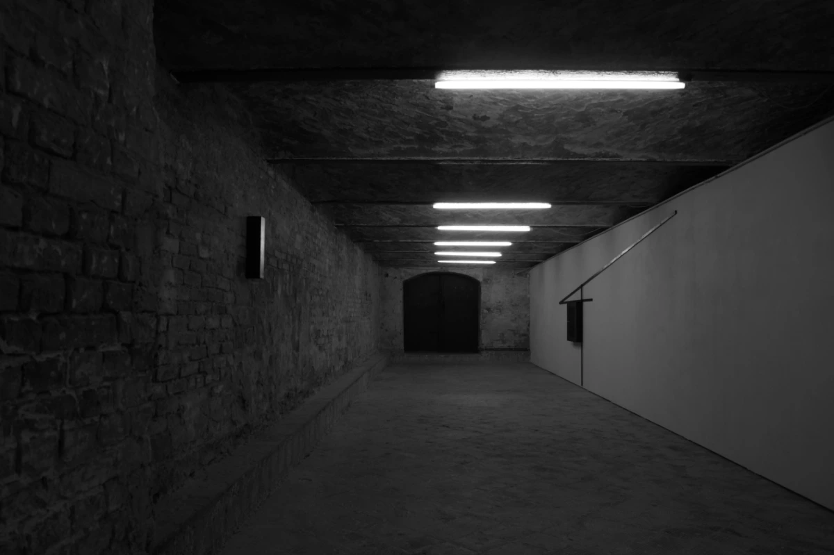 The Inner Insularity of Utopianism exhibition by Sofiia Yesakova